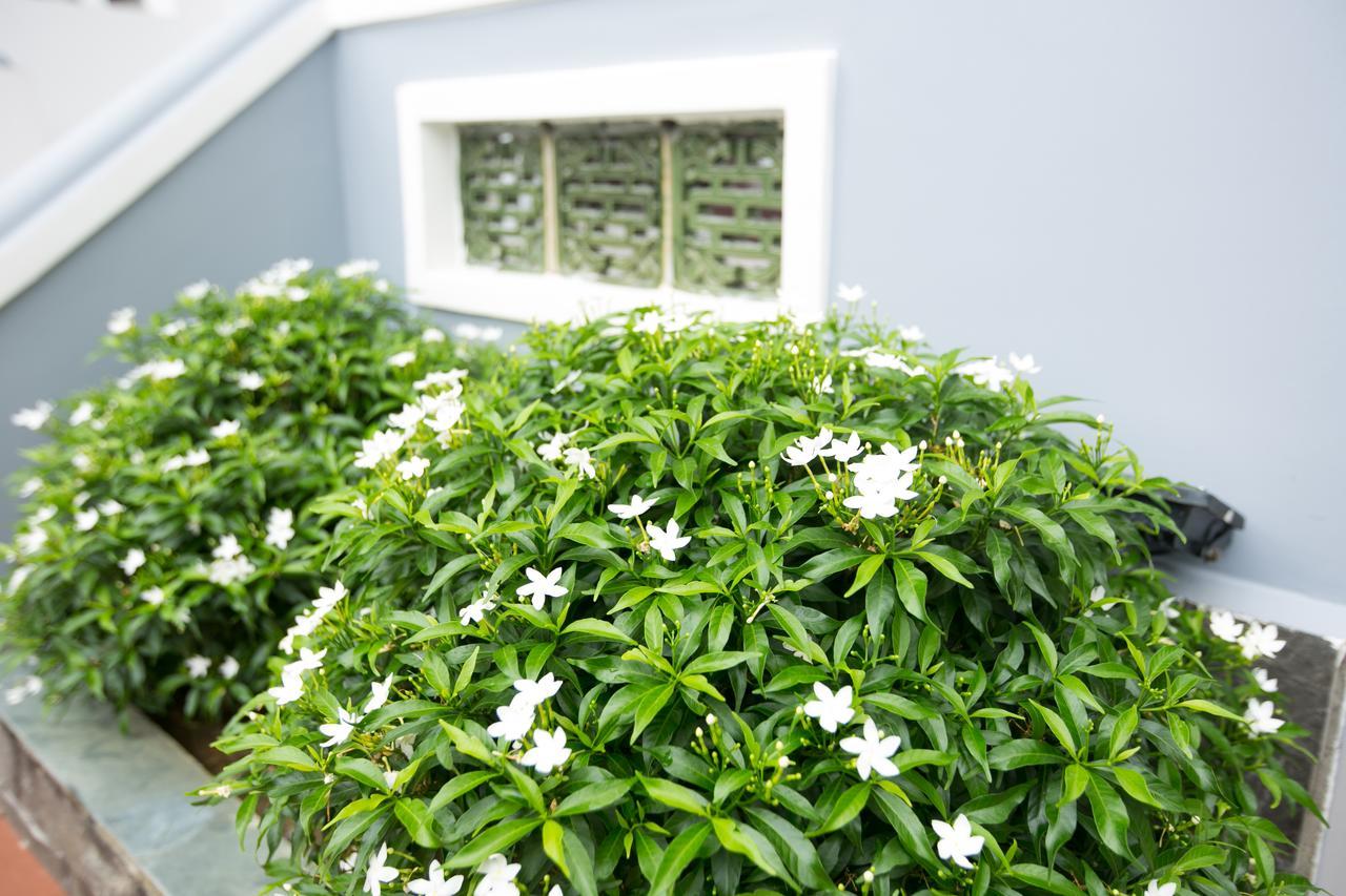 Yen Villa ฮอยอัน ภายนอก รูปภาพ